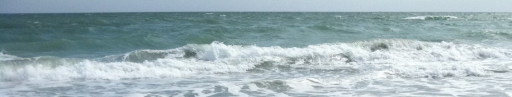cropped-cropped-Surf.jpg