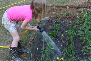 Watering a Garden