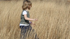 Child Walking Through Tall Grass