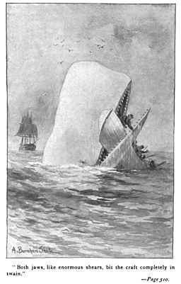 Moby Dick, illustration from 1892 edition